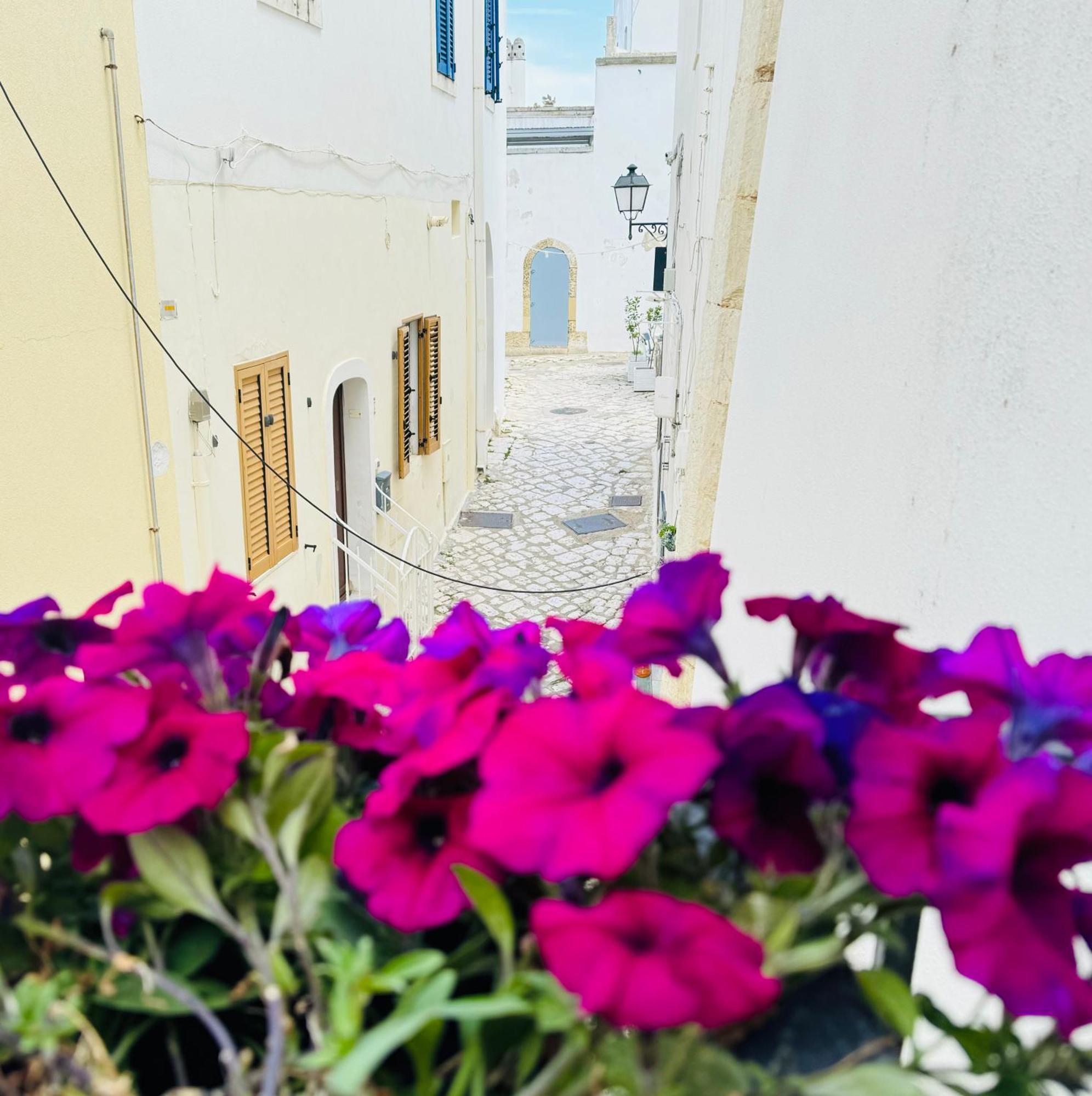 Dimora Del Sole Luxury And Charm Apartment Otranto Eksteriør billede